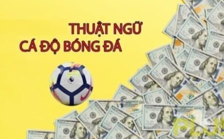 Thuật ngữ cá độ bóng đá cần biết nếu muốn thắng cược